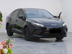 BYD Seagull 05 DM-i Smart Drive Edition 55KM Luxury - ფოტო 9