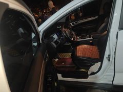 Geely Emgrand GSe 2020 500 Leading Luxury Edition - ფოტო 14