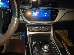 Geely Emgrand GSe 2020 500 Leading Luxury Edition - ფოტო 6