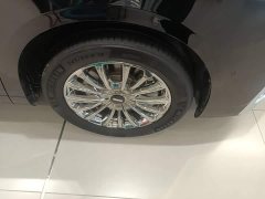 Great Wall WEY Shanshan New Energy Four-Wheel Drive Shanshan 9 - ფოტო 12