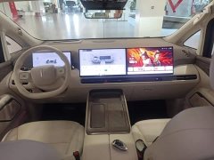Great Wall WEY Shanshan New Energy Four-Wheel Drive Shanshan 9 - ფოტო 14