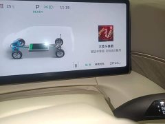 Great Wall WEY Shanshan New Energy Four-Wheel Drive Shanshan 9 - ფოტო 17