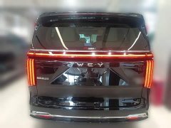 Great Wall WEY Shanshan New Energy Four-Wheel Drive Shanshan 9 - ფოტო 8
