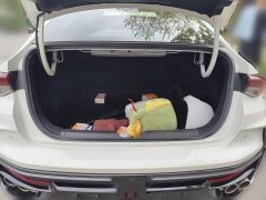 Trumpchi Leopard 400T Automatic R PRO - ფოტო 10