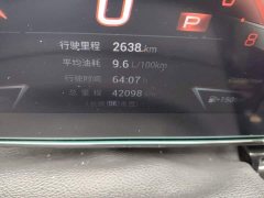 Trumpchi Leopard 400T Automatic R PRO - ფოტო 5
