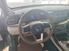 BYD Qin PLUS Champion Edition DM-i 55KM Leading - ფოტო 4