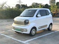 FAW Besturn Xiaoma 2026 222km Colorful Edition - ფოტო 2