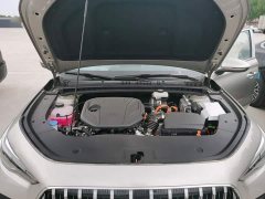 Geely Galaxy Xingyao 6 125km Carefree Edition - ფოტო 16