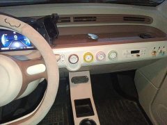 FAW Besturn Xiaoma 2026 222km Shining Edition - ფოტო 12