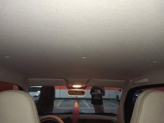 FAW Besturn Xiaoma 2026 222km Shining Edition - ფოტო 9
