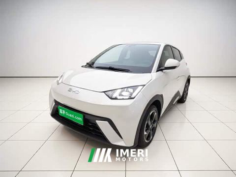 2025 BYD Seagull 405km Flying Edition