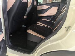 BYD Seagull 405km Flying Edition - ფოტო 13