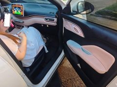BYD Seagull 405km Flying Edition - ფოტო 19