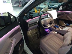 Nio Lerado L60 2024 60kWh Rear-Wheel Drive - ფოტო 14
