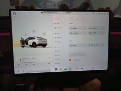Nio Lerado L60 2024 60kWh Rear-Wheel Drive - ფოტო 4