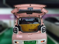 FAW Besturn Xiaoma 2025 222km Lightning Edition - ფოტო 10