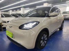 Wuling Binguo 2024 333km Joy Edition - ფოტო 1