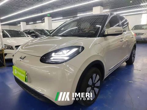 2025 Wuling Binguo 333km Joy Edition