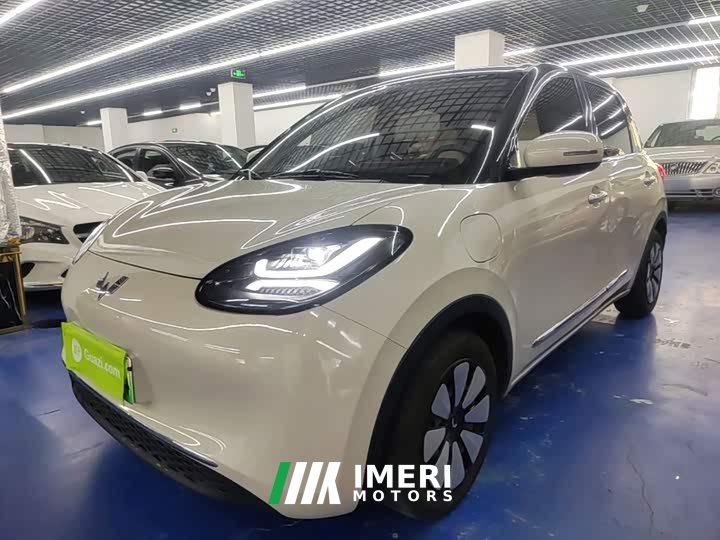 Wuling Binguo 333km Joy Edition
