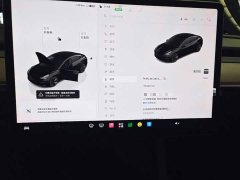 Tesla Model 3 2022 Rear-Wheel Drive - ფოტო 12