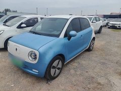 ORA Black Cat 2019 301km Standard Edition - ფოტო 2