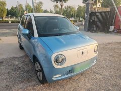 ORA Black Cat 2019 301km Standard Edition - ფოტო 5