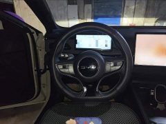 BYD Dolphin 06 DM-i Touring DM-i 150KM Premium Edition - ფოტო 14