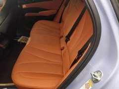 BYD Dolphin 650 Smart Navigation Edition - ფოტო 13