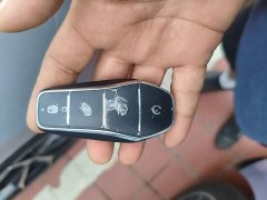 BYD Dolphin 650 Smart Navigation Edition - ფოტო 17