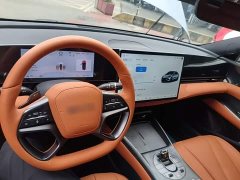 BYD Dolphin 650 Smart Navigation Edition - ფოტო 6