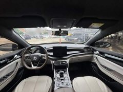 BYD Qin PLUS Glory Edition DM-i 55KM Leading - ფოტო 16
