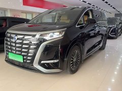 Denza BYD Denza D9 DM-i Smart Drive 1020 AWD Luxury - ფოტო 5