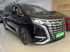 Denza BYD Denza D9 DM-i Smart Drive 1020 AWD Luxury - ფოტო 7