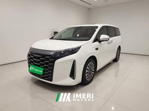 2025 BYD Summer DM-i 1.5T 180km Exceed