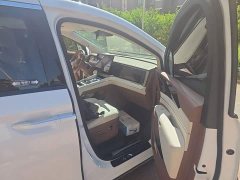 Denza Summer DM-i 1.5T 180km Exceed - ფოტო 17