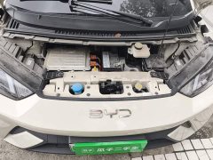 BYD Seagull Vitality Edition - ფოტო 11
