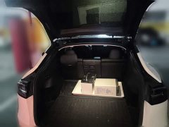 Tesla Model Y Rear-Wheel Drive - ფოტო 10