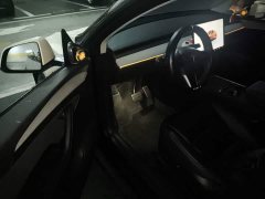 Tesla Model Y Rear-Wheel Drive - ფოტო 14