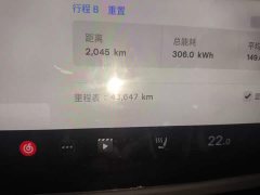 Tesla Model Y Rear-Wheel Drive - ფოტო 5