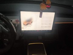 Tesla Model Y Rear-Wheel Drive - ფოტო 6
