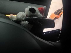 Tesla Model Y Rear-Wheel Drive - ფოტო 7