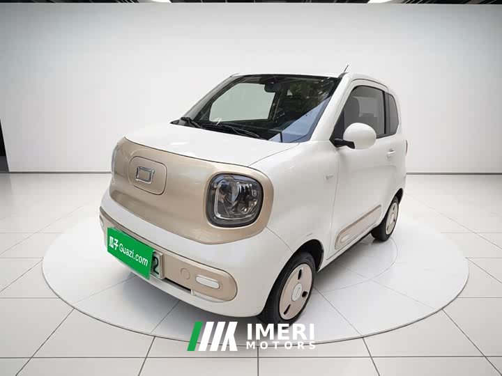 FAW Besturn Xiaoma 222km Dynamic Edition