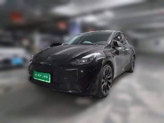 Tesla Model Y Rear-Wheel Drive - ფოტო 1