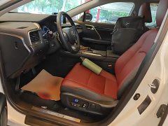Lexus RX 2020 Facelift 300 FWD Elite - ფოტო 15