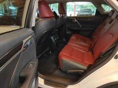 Lexus RX 2020 Facelift 300 FWD Elite - ფოტო 17