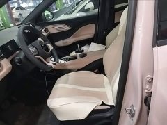 BYD Seagull Glory Edition 305km Vitality Version - ფოტო 10