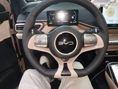 BYD Seagull Glory Edition 305km Vitality Version - ფოტო 11