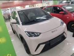 BYD Seagull Glory Edition 305km Vitality Version - ფოტო 5