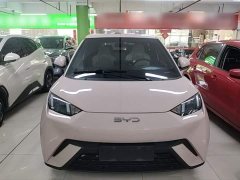 BYD Seagull Glory Edition 305km Vitality Version - ფოტო 7
