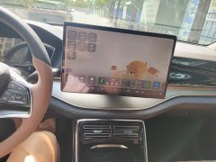 BYD Tang New Energy 2021 DM-i 112KM Premium Edition - ფოტო 6